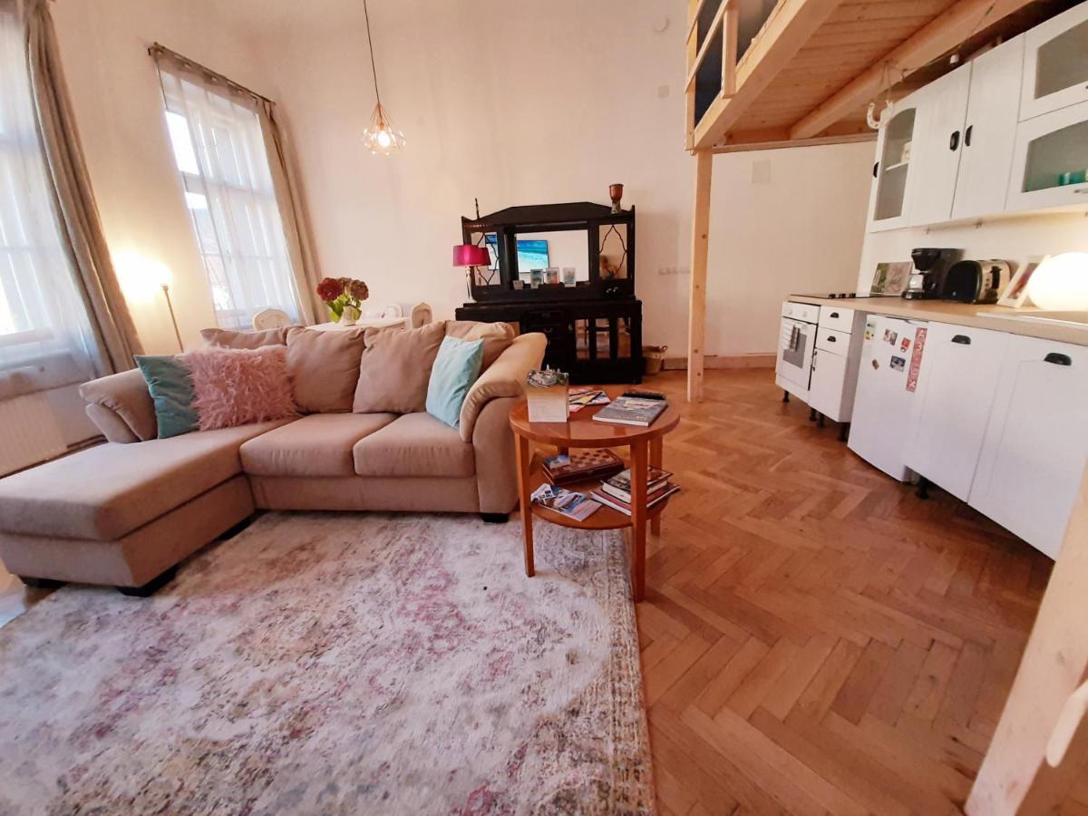 Central Loft Apartment Брашов Экстерьер фото